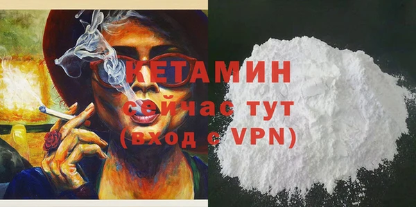 индика Инта
