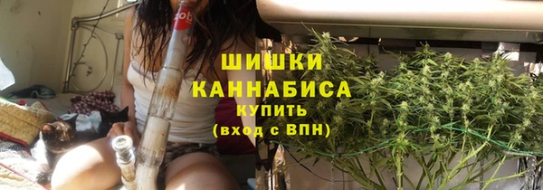 индика Инта